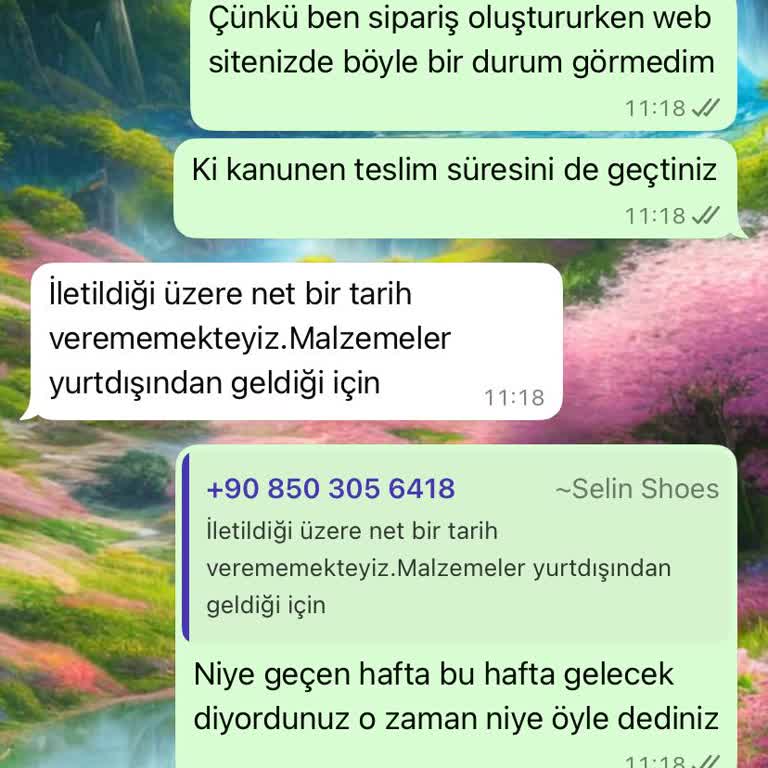 Teslim Edilmeyen Ayakkabılar Ve Yanıltıcı Müşteri Hizmetleri