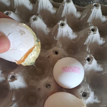 Eksik Ürün Ve Kırık Yumurta Krizi!