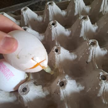 Eksik Ürün Ve Kırık Yumurta Krizi!