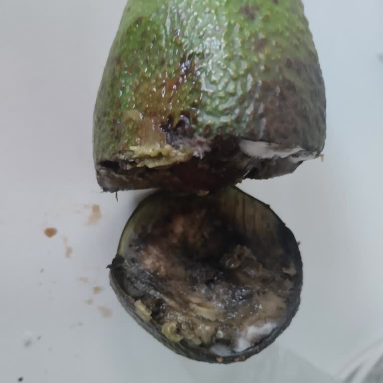 Migros'tan Gelen Avokado Hayal Kırıklığı!