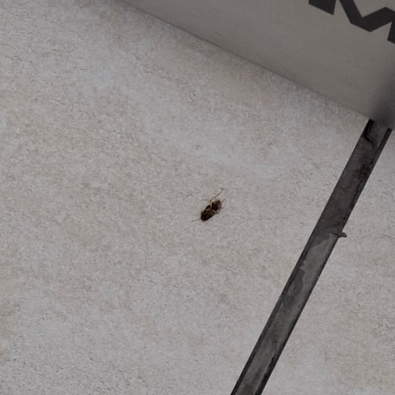 Forum Kayseri AVM Restoranın Hijyen Sorunları!