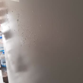 Yeni Alınan Derin Dondurucuda Üretim Hataları