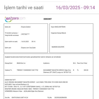 300 TL Yatırımım Neden Bakiyeme Yansımadı