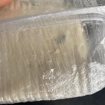 Taze Alınan Peynirin Küflenmesi Güvenimizi Sarstı