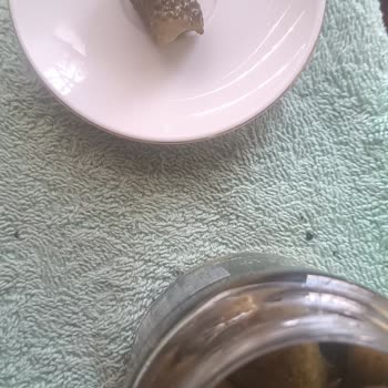 BİM'den Aldığımız Fıçı Turşuda Hijyen Sorunu