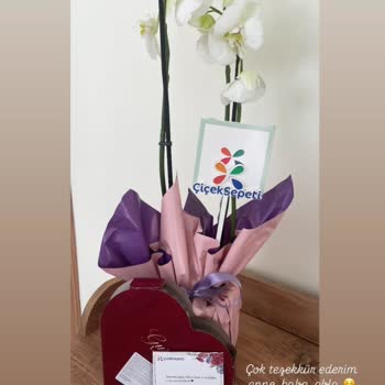 Çiçek Sepeti'nden Zamanında Ve Sağlıklı Teslimat Beklentisi