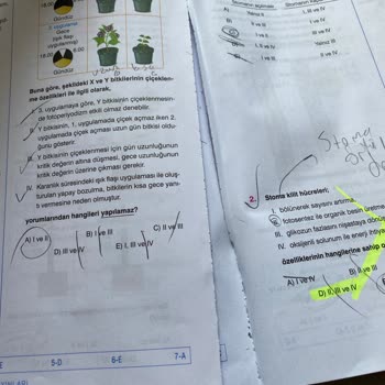 Paraf Yayınları Biyoloji Kitabında Beklenmedik Kalite Sorunu