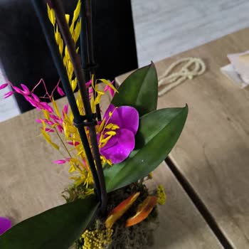 Taze Çiçek'ten Gelen Orkide Hayal Kırıklığı