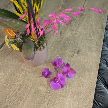 Taze Çiçek'ten Gelen Orkide Hayal Kırıklığı