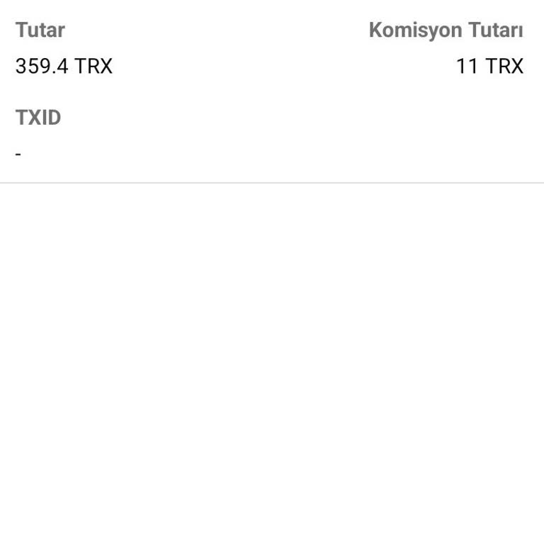 Bitci Borsasında İşlem Gecikmesi Ve Destek Eksikliği