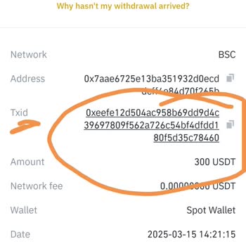 Bybit Borsasında Onay Sorunu