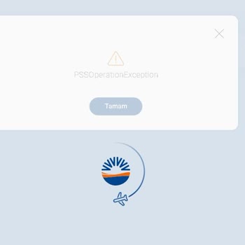 Sunexpress Check-in Sorunu Ve İlgisizlik