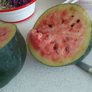 Bozuk Karpuz İadesi Reddedildi