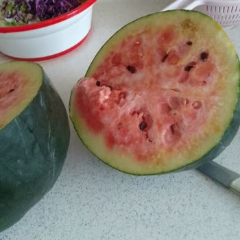 Bozuk Karpuz İadesi Reddedildi