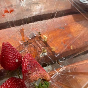 Migros Marketten Alınan Çileklerin Küflü Çıkması