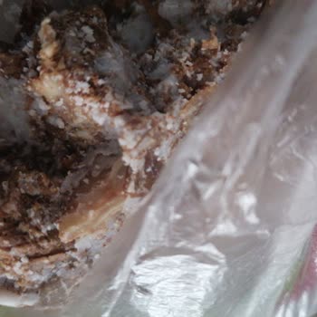 Torku Kavurma Kalitesi Ve Koku Sorunu