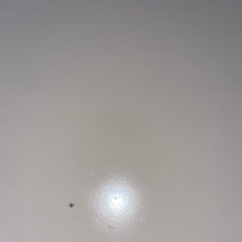 Kalitesiz Ürün Ve Müşteri Memnuniyetsizliği