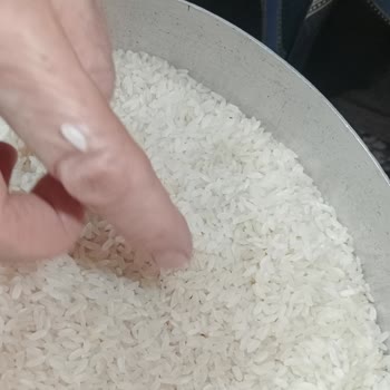 Yayla Bakliyat Alaçiftçi Pirinçten Böcekler Çıktı
