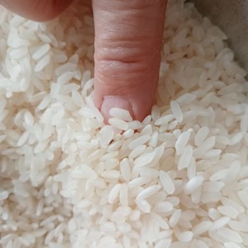 Yayla Bakliyat Alaçiftçi Pirinçten Böcekler Çıktı