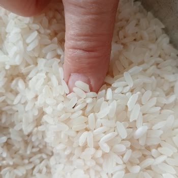 Yayla Bakliyat Alaçiftçi Pirinçten Böcekler Çıktı