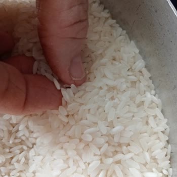 Yayla Bakliyat Alaçiftçi Pirinçten Böcekler Çıktı