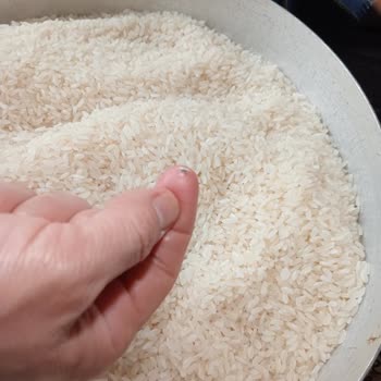 Yayla Bakliyat Alaçiftçi Pirinçten Böcekler Çıktı