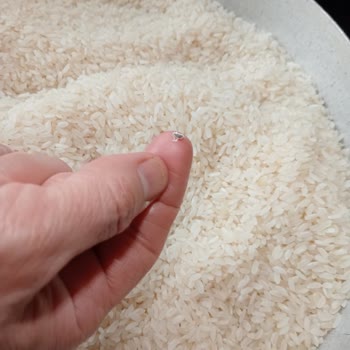 Yayla Bakliyat Alaçiftçi Pirinçten Böcekler Çıktı