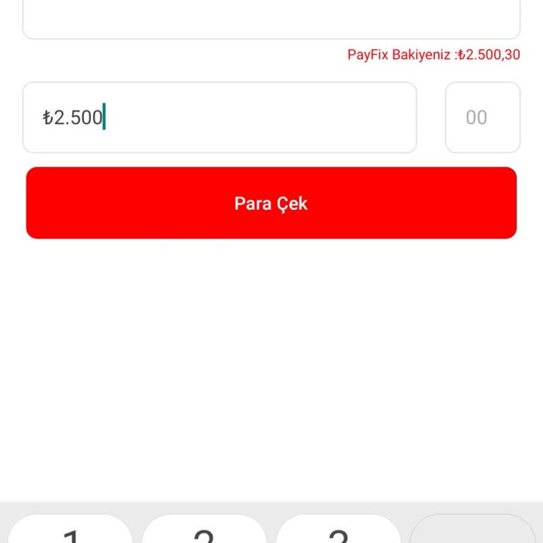 Payfix Para Çekim Sorunu: Çözüm Bekleniyor