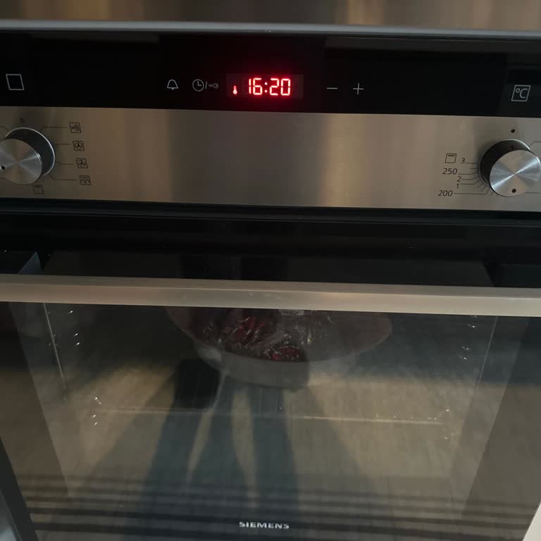 Siemens Fırın Lambası Sorunu