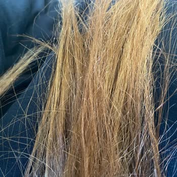 Dyson Airstrait Modeli Saçlarımı Yıprattı Ve Müşteri Hizmeti Yetersiz