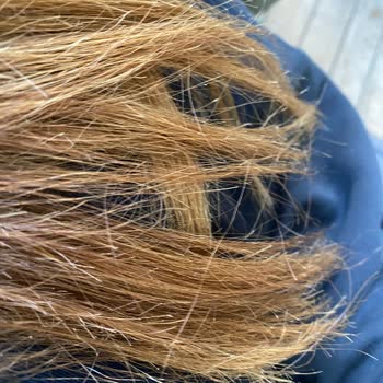 Dyson Airstrait Modeli Saçlarımı Yıprattı Ve Müşteri Hizmeti Yetersiz