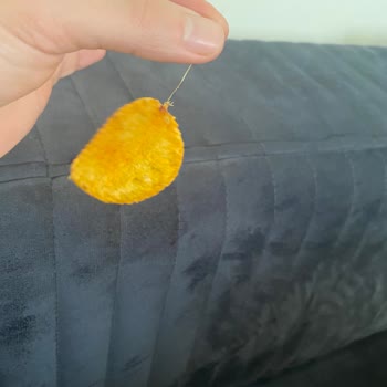 Ruffles Paketinden Çıkan İstenmeyen Sürpriz