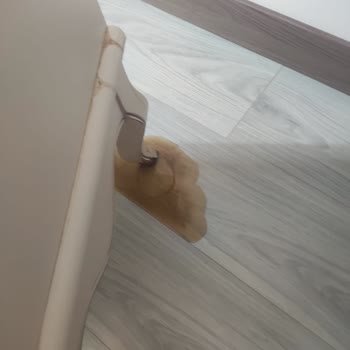 Koleksiyon Ürünlerime Zarar Veren Patlayan Kutu Kola