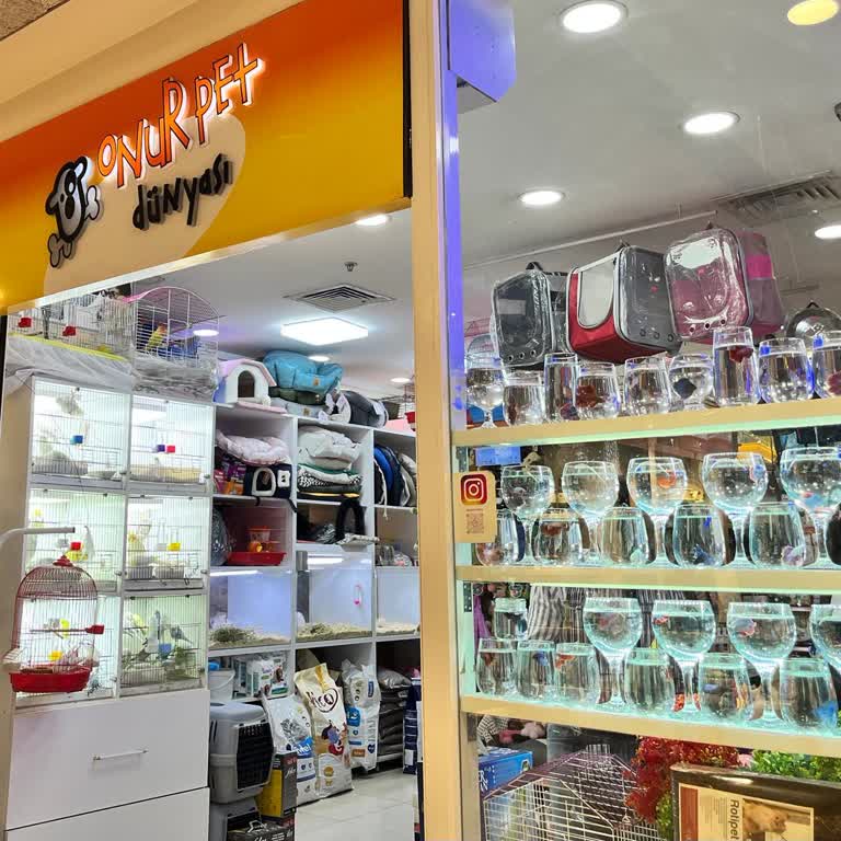 Ankara'da Petshopta Balıkların Kötü Koşullarda Sergilenmesi