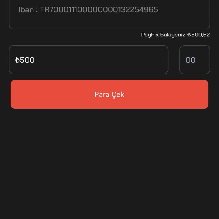 PayFix'te 4 Gündür Para Çekim Sorunu