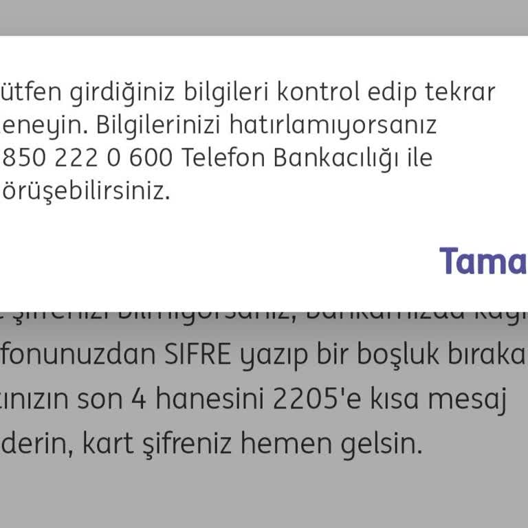 ING Mobil Uygulama Ve Müşteri Hizmetleri Kısır Döngüsü