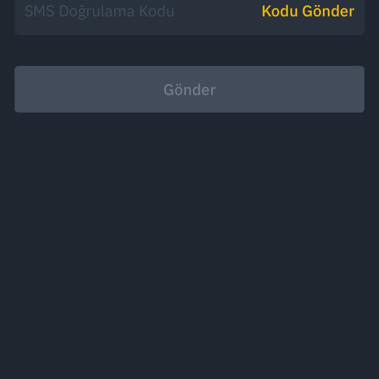 Destek Ekibinin Yetersizliği Nedeniyle Hesap Erişim Sorunu