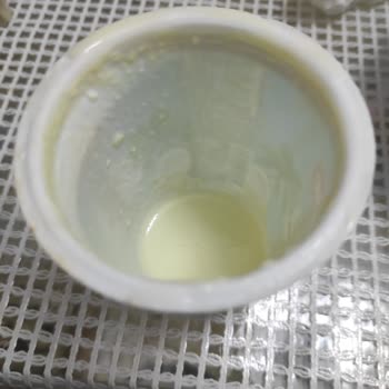 Torku Ürünü Tadında Sorun