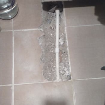 Doğa Sigorta'nın Tadilat Gecikmesi