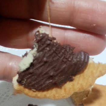 Bisküvi İçinden Çıkan Plastik Şikayeti