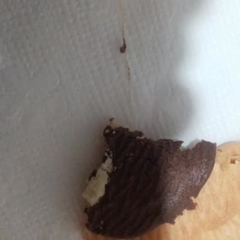 Bisküvi İçinden Çıkan Plastik Şikayeti