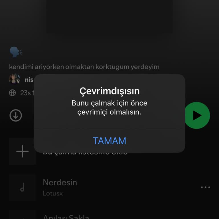 Spotify Premium'da Çevrimdışı Dinleme Sorunu