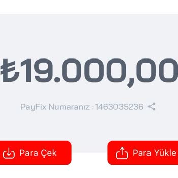 Payfix'te Para Çekme Sorunu: Banka Hesabına Aktarım Yapılamıyor