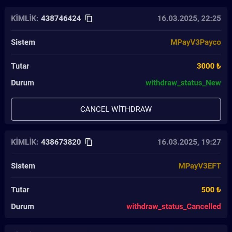 Ödeme Sorunu: Yatırım Yaptık, Kazancı Çekemiyoruz