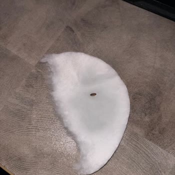 Asit Serumunda Şok Edici Böcek Sürprizi