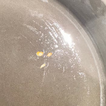 Staub Tencerede Garanti Yanıltmacası