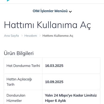 Yazlık İnternet Paketi Aktivasyon Sorunu