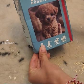 Kids Diyarı Görselle Aynı Değil!