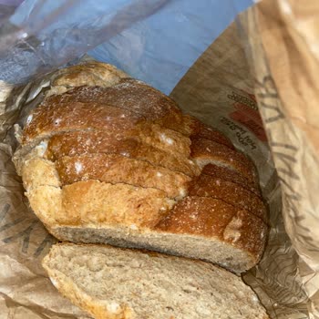 Küflü Ekşi Mayalı Ekmek Şoku