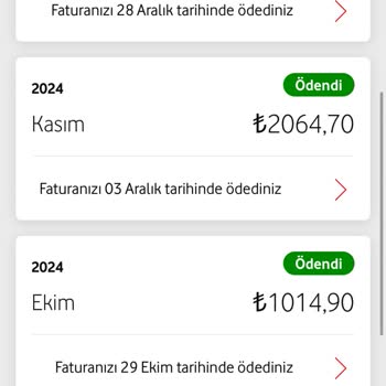 Yüksek Faturalarla Mücadele: Çözüm Bulunamıyor